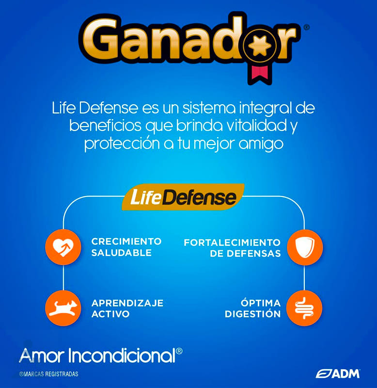 Alimento Ganador Cachorro 20 kg GRATIS 3 kg