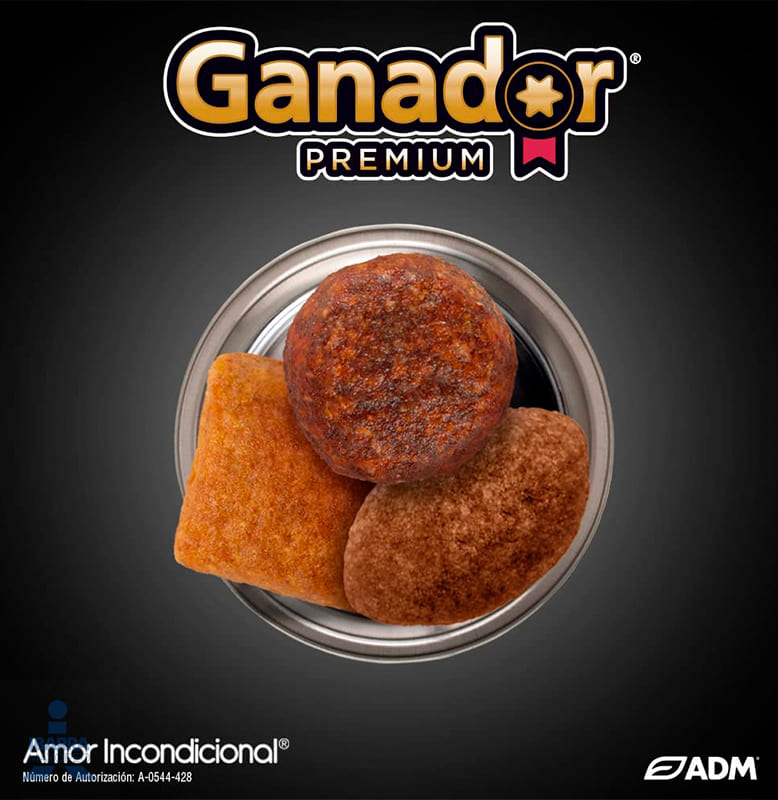 Alimento Ganador Premium Adulto 20 kg
