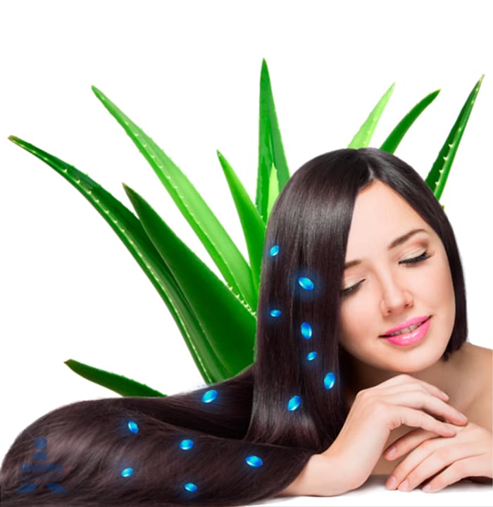 Shampoo Savilé Biotina 180 ml