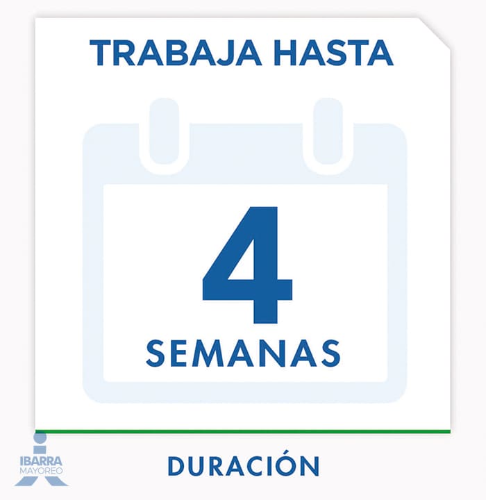 Insecticida Raid Casa y Jardín Naranja Aerosol 400 ml