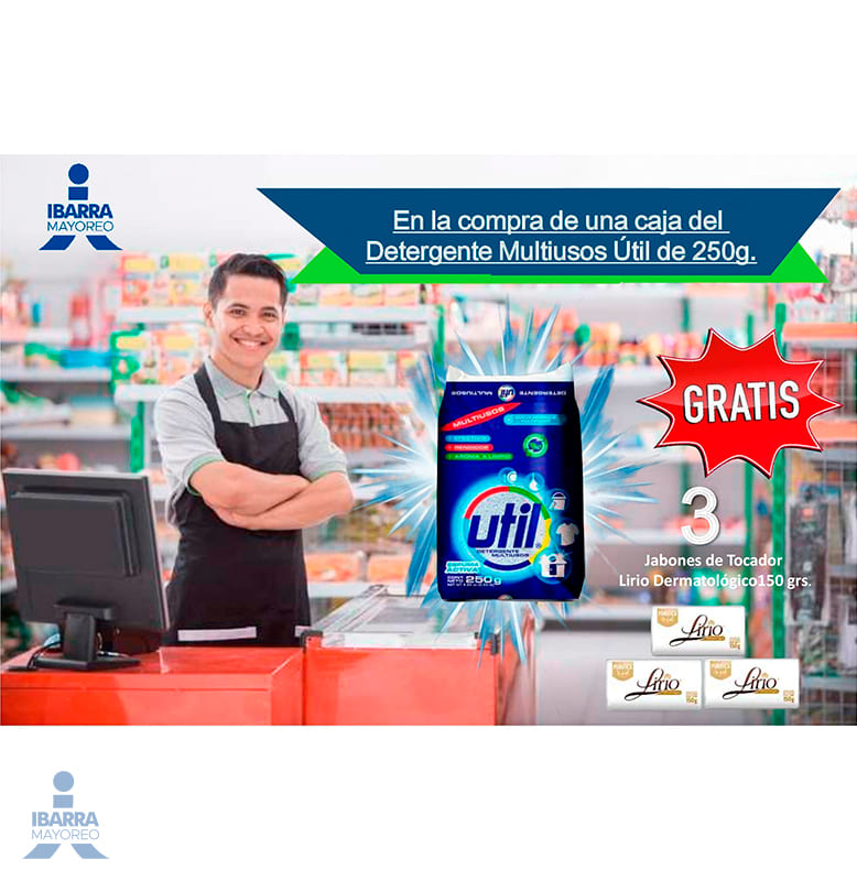 Detergente Multiusos Util 250 g