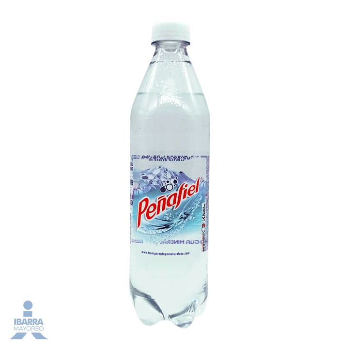 Agua Mineral Peñafiel 600 ml