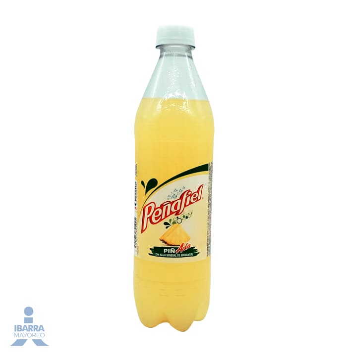 Refresco Peñafiel Piñada 600 ml