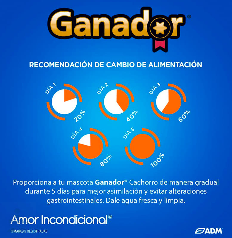Alimento Ganador Cachorro 20 kg GRATIS 3 kg