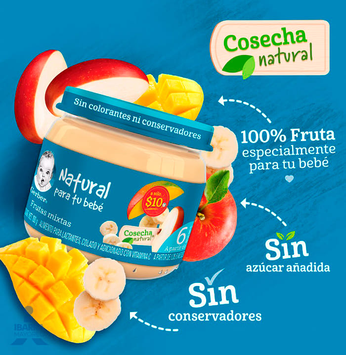 Gerber Colado Frutas Mixtas Etapa 2 100 g