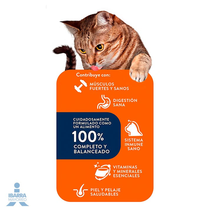 Gatina alimento seco para gatos sabor pollo a la jardinera 1.3 kg
