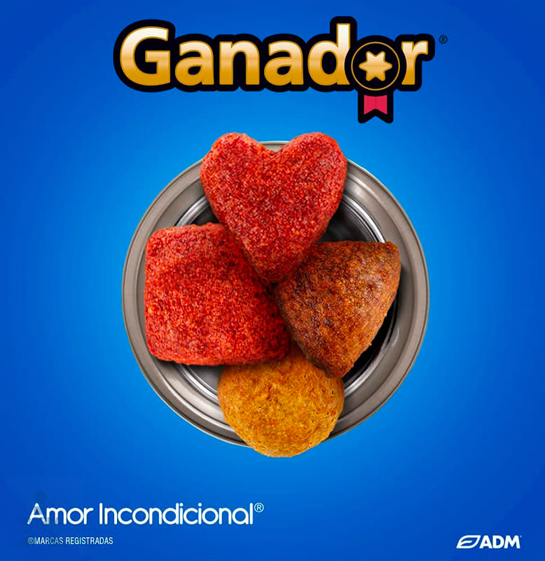 Alimento Ganador Cachorro 20 kg GRATIS 3 kg