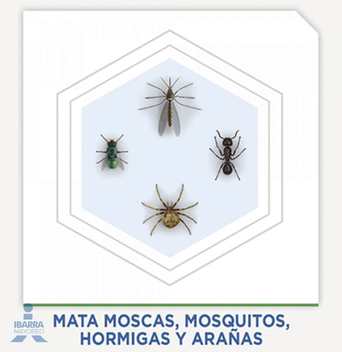 Insecticida Raid Casa y Jardín Aerosol 285 ml