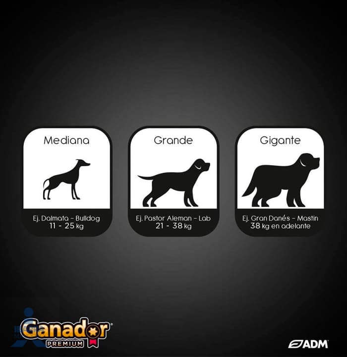 Alimento Ganador Premium Adulto 20 kg