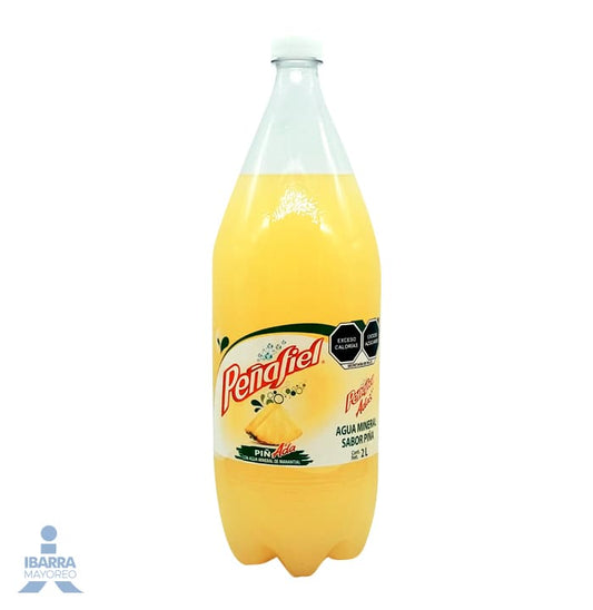 Refresco Peñafiel Piñada 2 L
