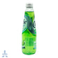 Bebida Caribe Cooler Manzana Verde/Kiwi 300 ml