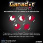 Alimento Ganador Premium Adulto 20 kg