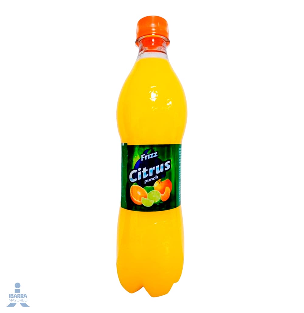 Bebida Frizz Citrus Punch 600 ml