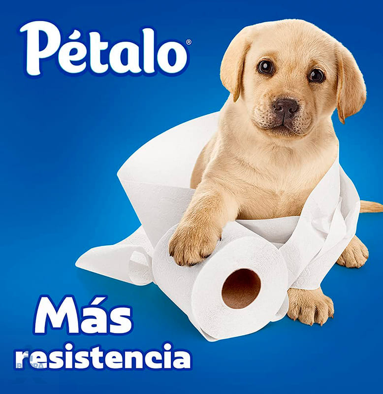 Papel Higiénico Pétalo Ultra Resistente 300 hojas 4 rollos