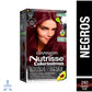Tinte Nutrisse Negro Rubí No. 260
