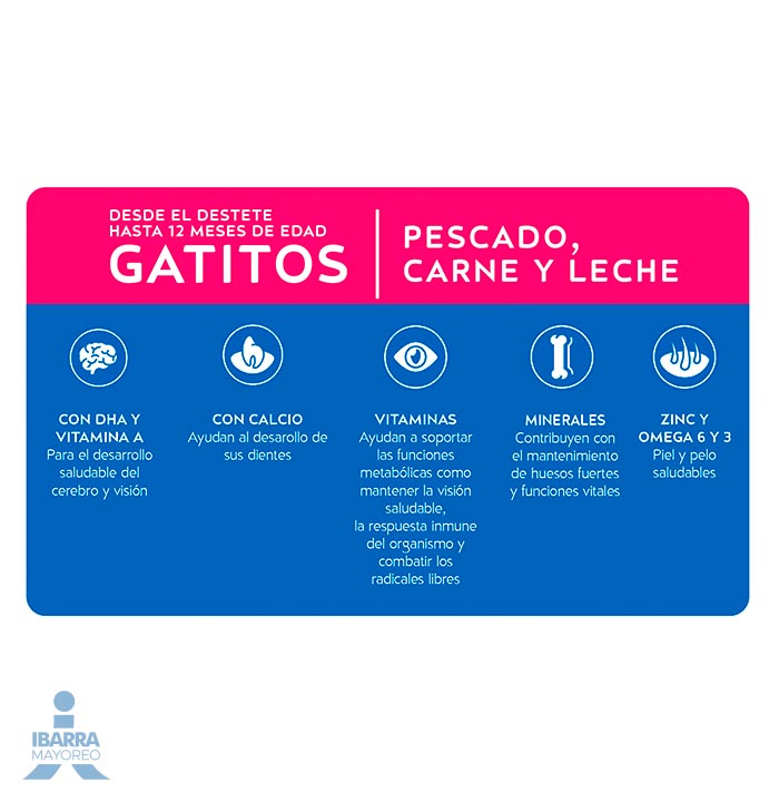 Cat Chow Defense Plus alimento seco gatitos sabor pescado carne y leche 500 g