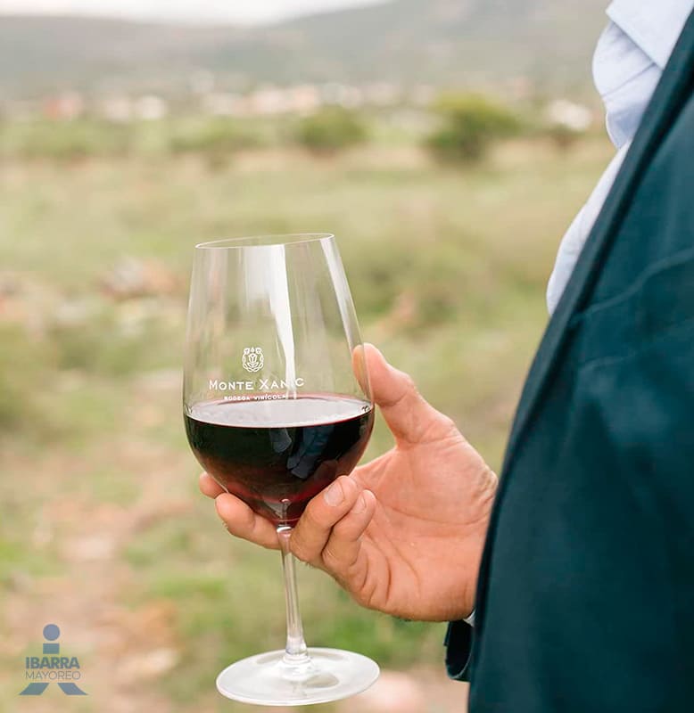 Vino Tinto Monte Xanic Selección 750 ml