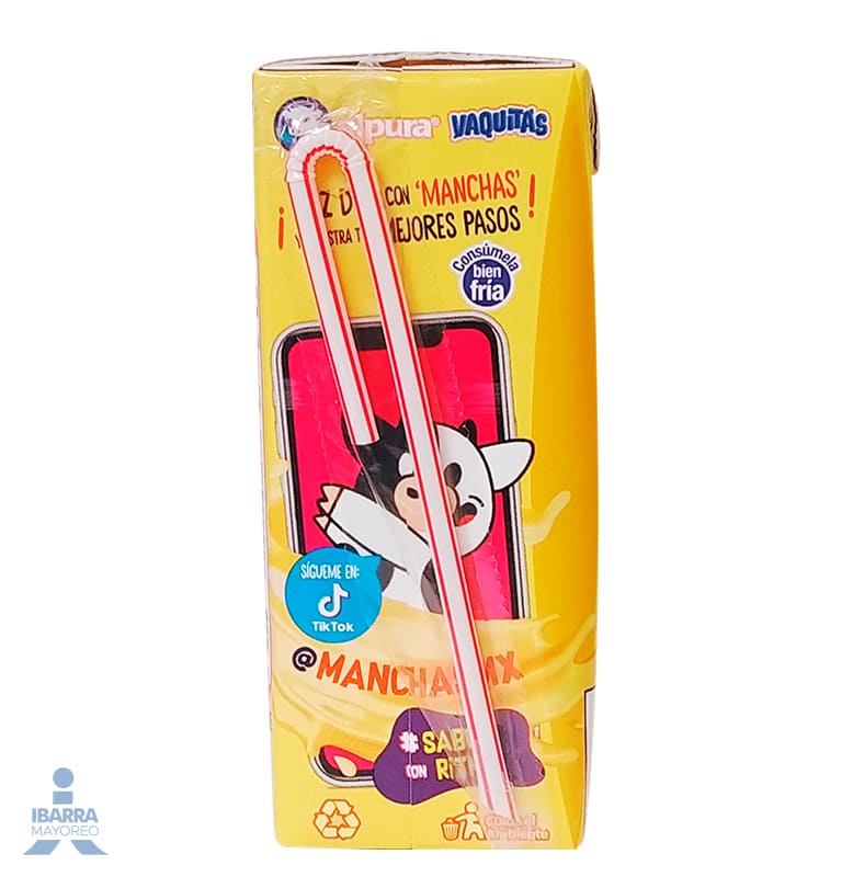 Leche Alpura Vainilla 200 ml