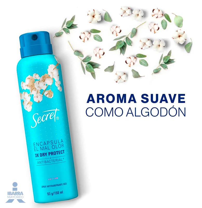 Desodorante Secret Powder Protec Aerosol 93 g