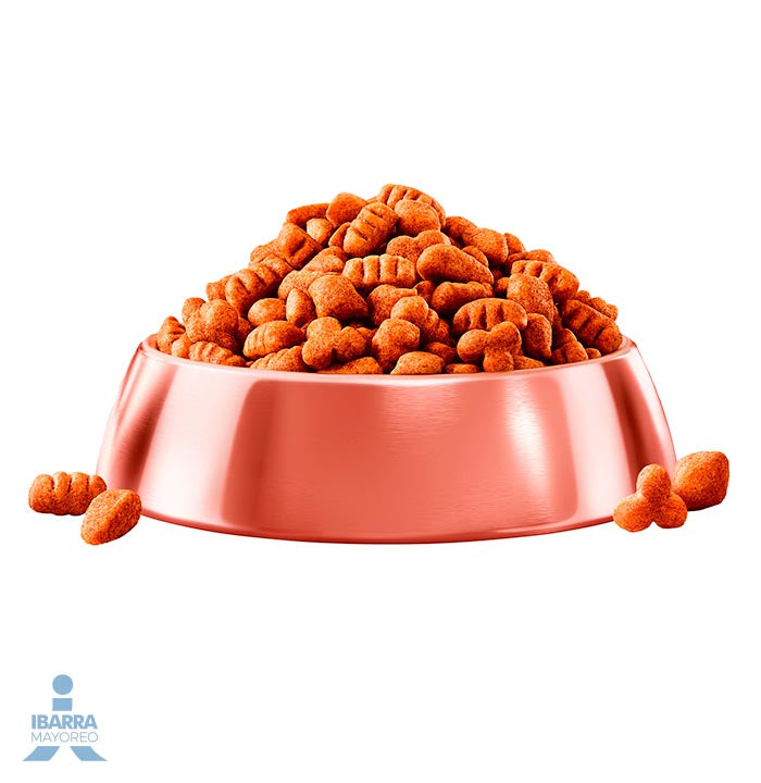 Campeón alimento seco perros adultos todos los tamaños carne y pollo 800 g