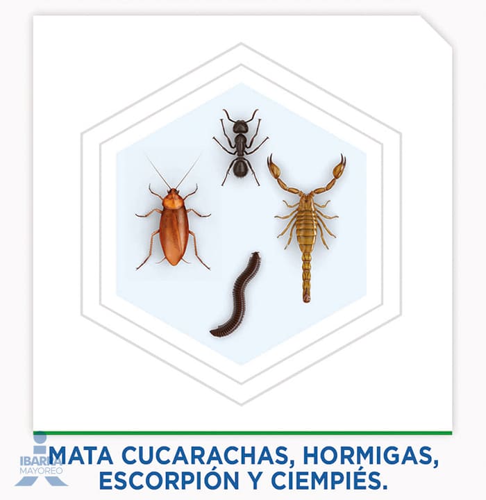 Insecticida Raid Max Aerosol 285 ml