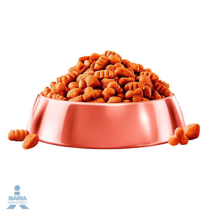 Campeón alimento seco perros adultos todos los tamaños carne y pollo 4 kg