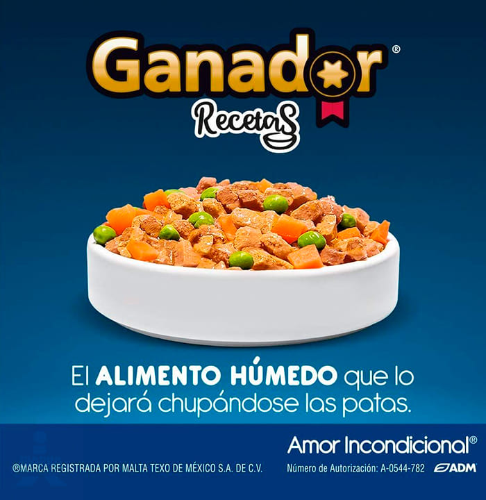 Alimento Ganador Estofado de Pato 100 g