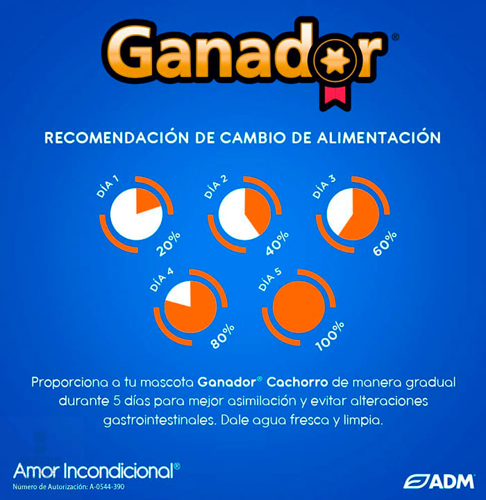 Alimento Ganador Cachorro 20 kg