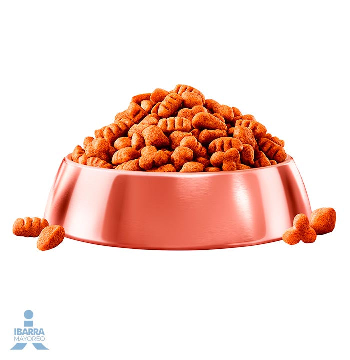 Campeón alimento seco perros adultos todos los tamaños carne y pollo 2 kg