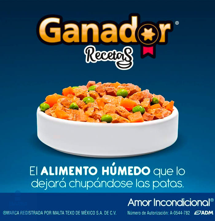 Alimento Ganador Delicias de Pavo 100 g