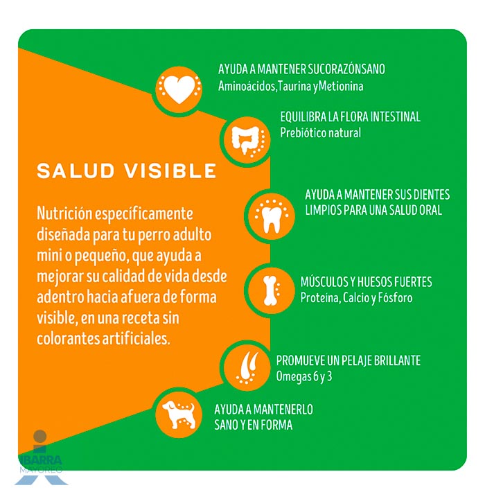 Dog Chow alimento seco perros adultos minis y pequeños 2 kg