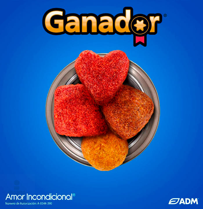 Alimento Ganador Cachorro 20 kg