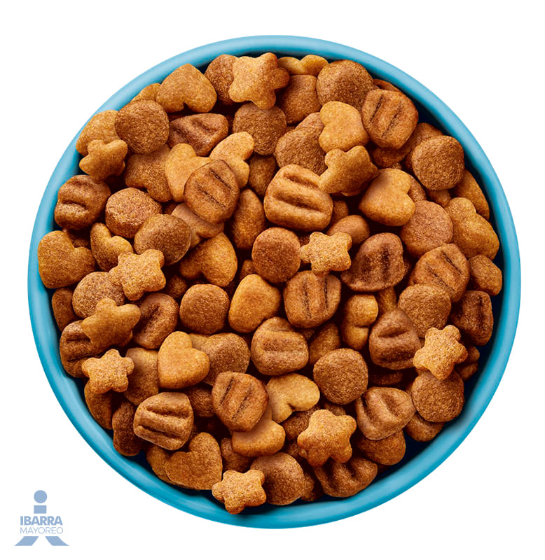 Dog Chow alimento seco cachorros medianos y grandes 4 kg