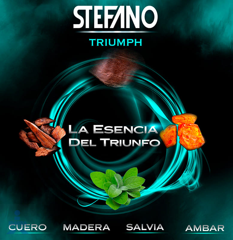 Desodorante Stefano Triumph Aerosol 113 g