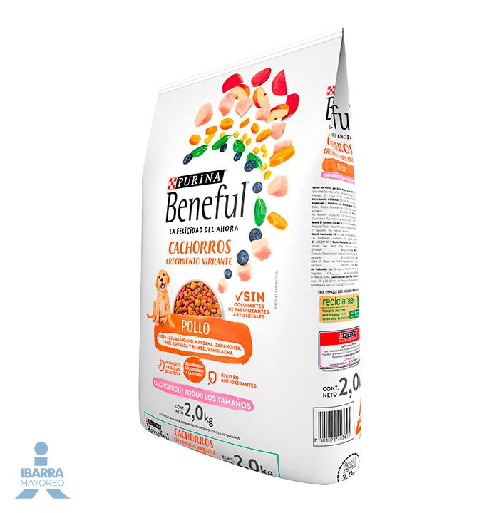 Alimento Purina Beneful Cachorro Pollo 2 kg