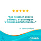 Papel Higiénico Kleenex Cottonelle Pure 180 hojas 12 rollos