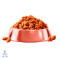 Alimento Purina Campeón Adulto Minis y Pequeños 2 kg