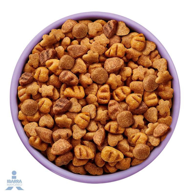 Alimento Purina Dog Chow Cachorro Razas Pequeñas 20 kg