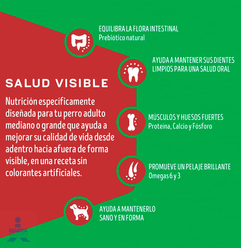 Dog Chow alimento seco perros adultos medianos y grandes 25 kg