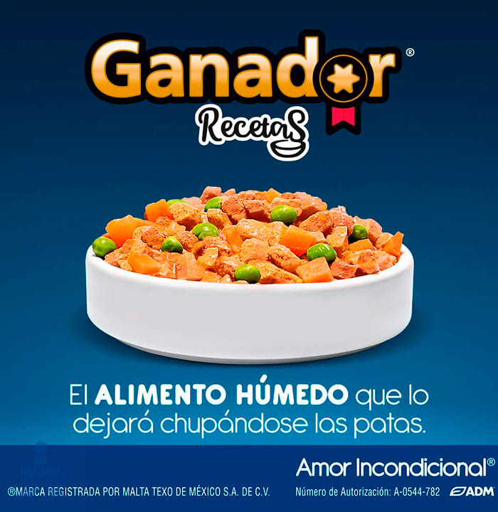 Alimento Ganador Pollo a La Cacerola 100 g