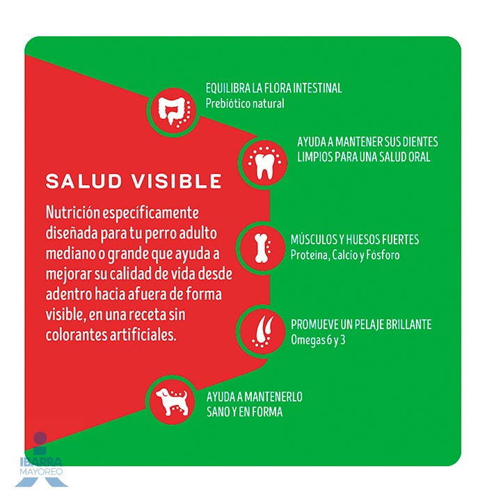 Dog Chow alimento seco perros adultos medianos y grandes 2 kg