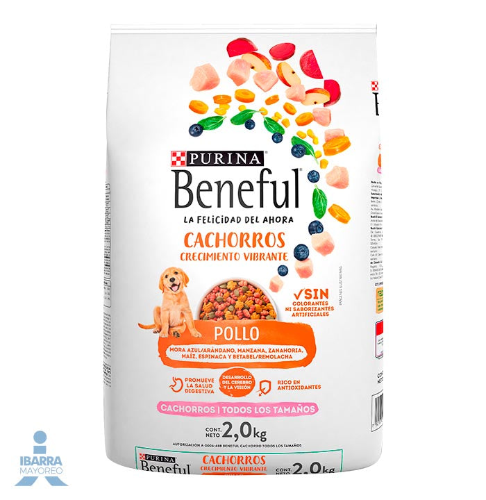 Alimento Purina Beneful Cachorro Pollo 2 kg