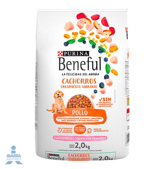 Alimento Purina Beneful Cachorro Pollo 2 kg
