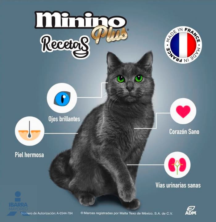 Alimento Ganador Minino Plus Pollo en Caldo 85 g