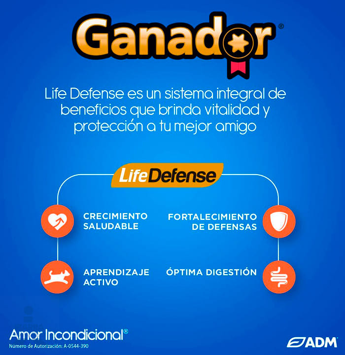 Alimento Ganador Cachorro 20 kg