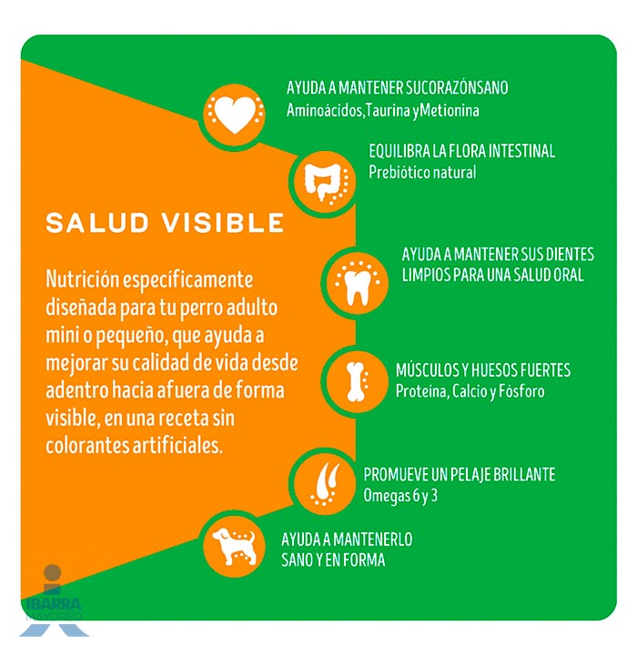 Dog Chow alimento seco perros adultos minis y pequeños 4 kg