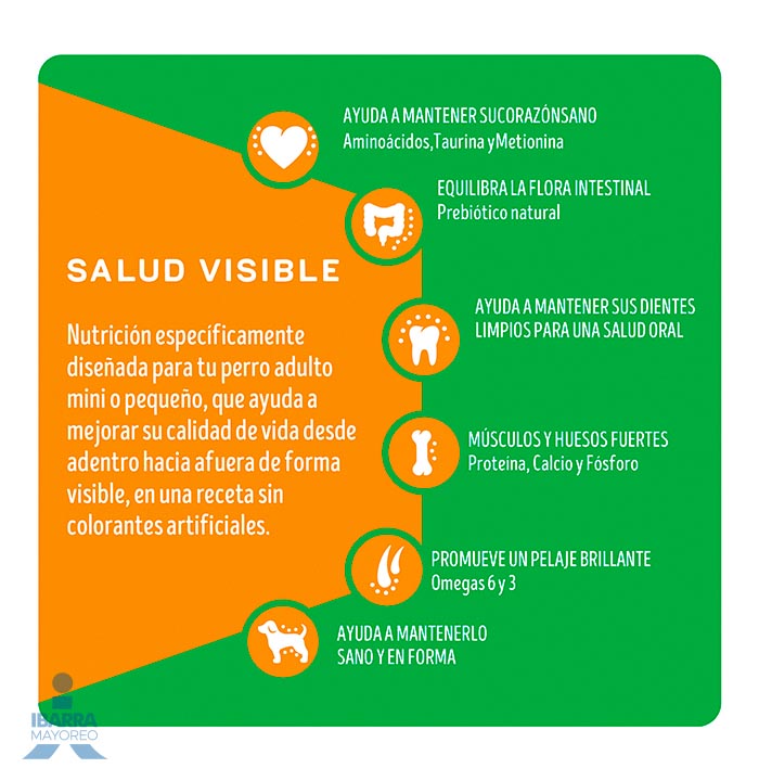 Dog Chow alimento seco perros adultos minis y pequeños 25 kg