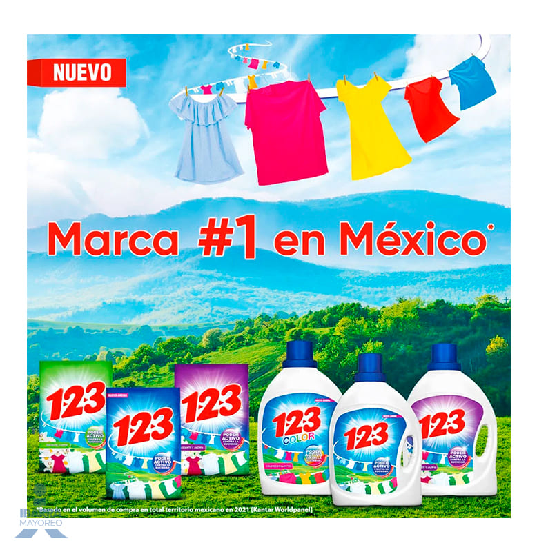Detergente 123 Rocío del Campo 800 g
