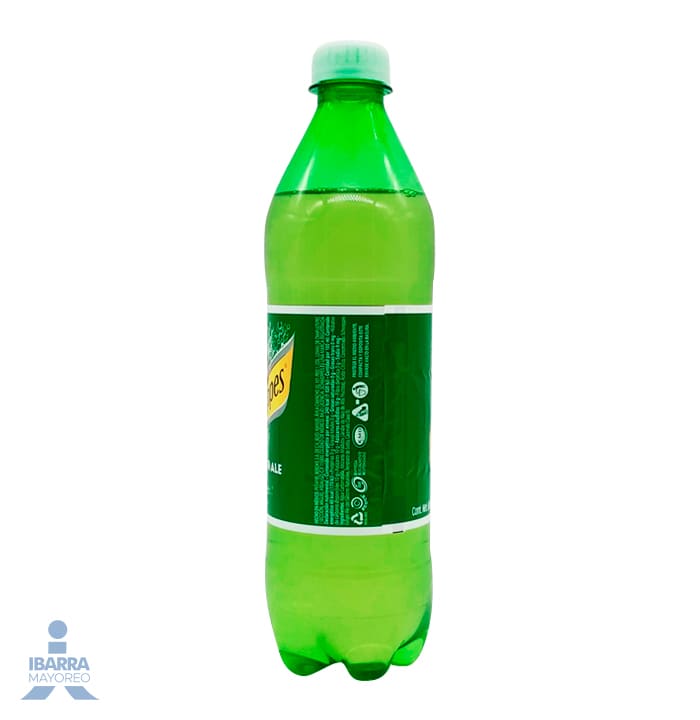 Refresco Peñafiel Schweppes Ginger Ale 600 ml