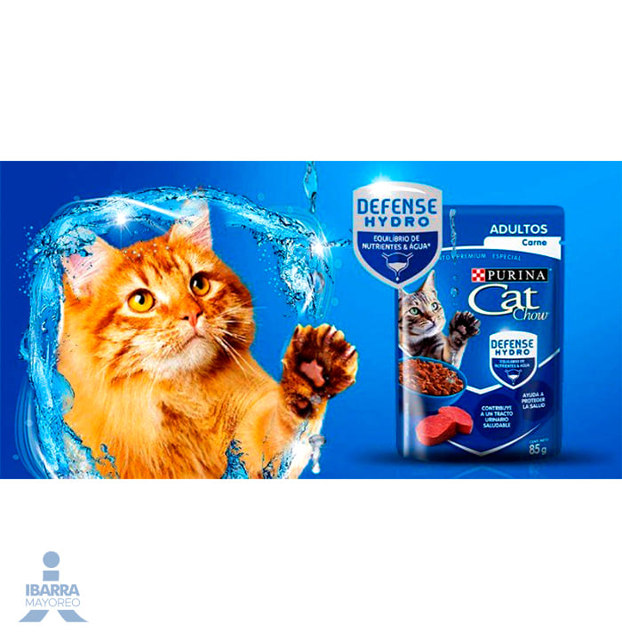 Cat Chow adulto pollo 12 pack 85 g